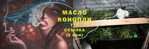 СК Гусь-Хрустальный